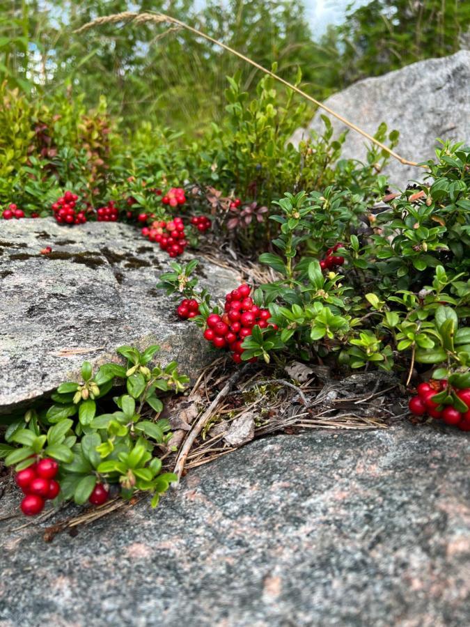 Apartmán Raemsbyns Fritidsby, Naera Romme Alpin Idkerberget Exteriér fotografie